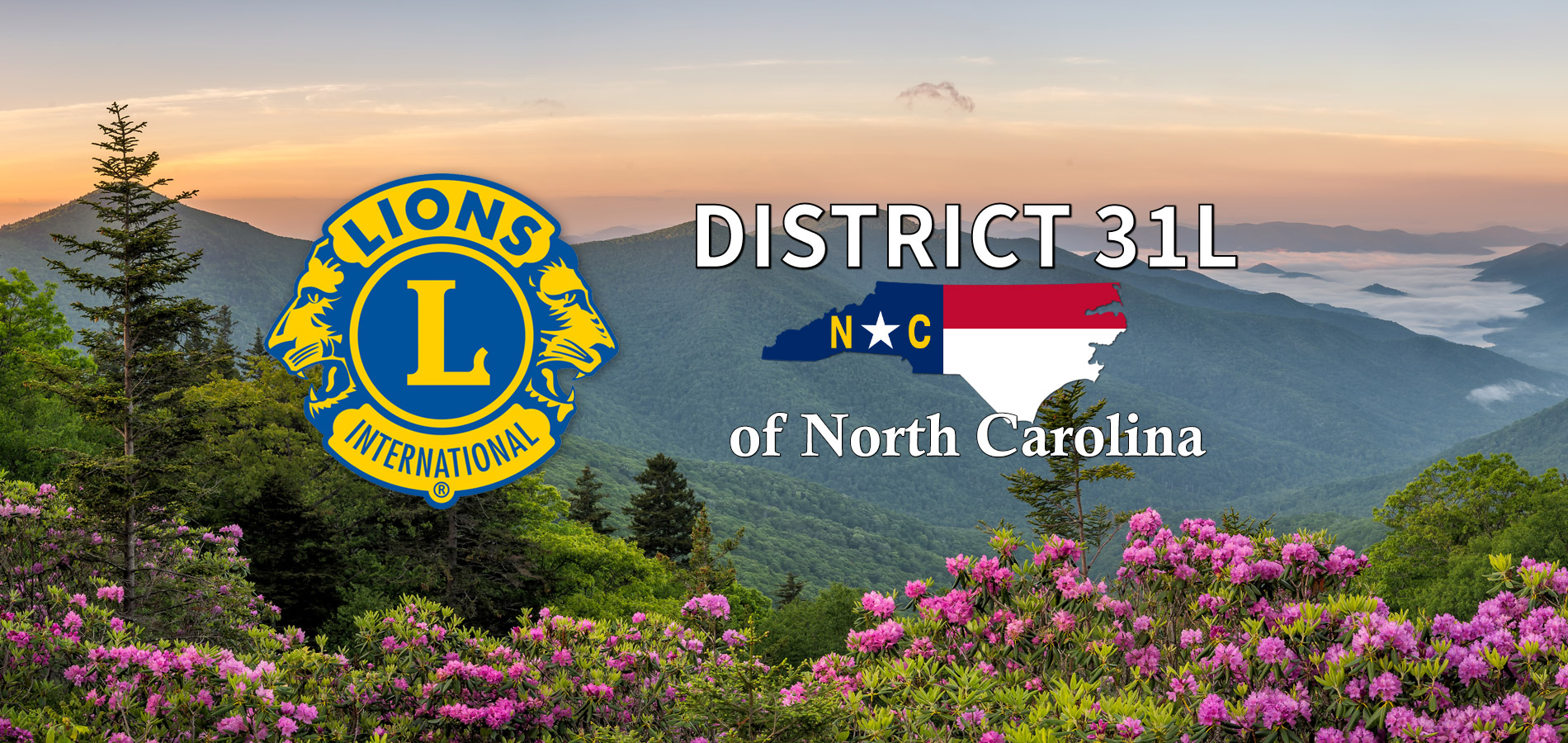 District 31 L Lions Club List by County