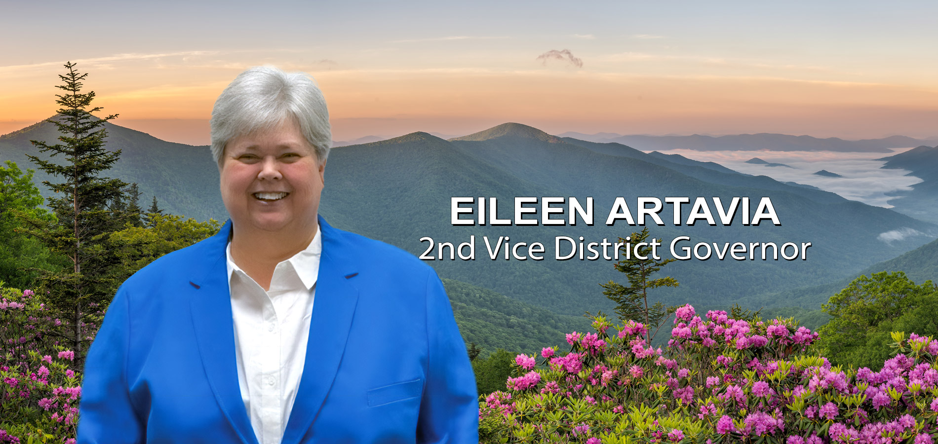 Eileen Artavia 2nd Vice District Governor District 31 L Lions Clubs North Carolina
